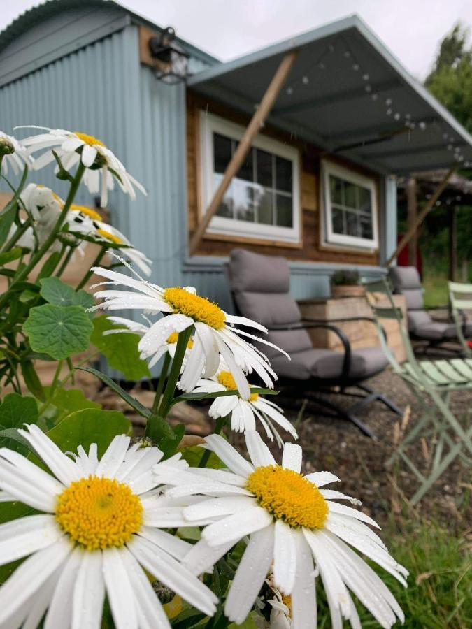 Belan Bluebell Woods Shepherds Hut Лянідлойс Екстер'єр фото